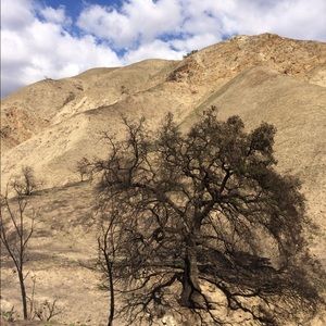 Meet your Posher, Alfonso